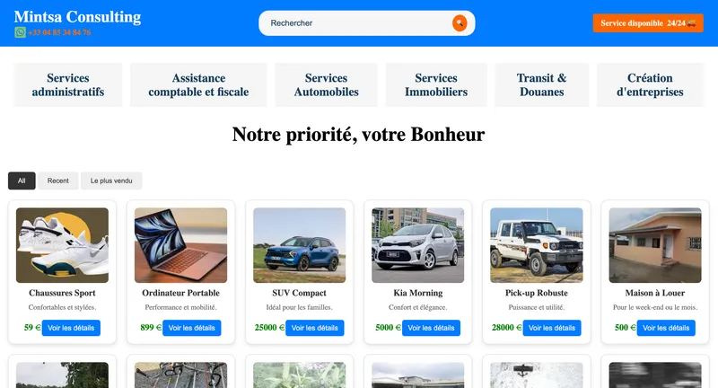 Capture d'écran de Mintsa Services - un site web pour particulier qui propose des services de consulting et administratif